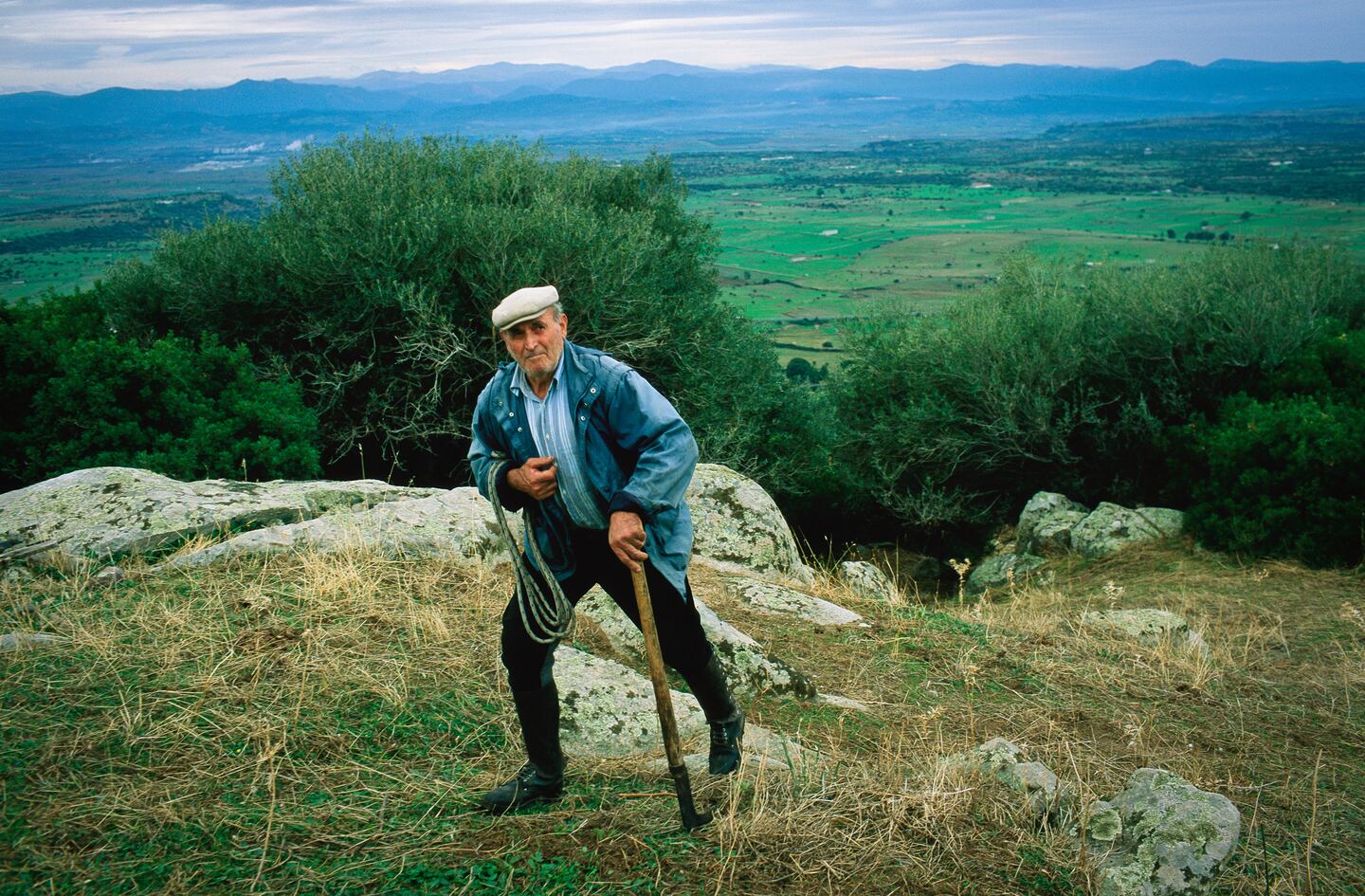 Longevity Begins With the Way We Live — Monte Valeo, a regenerative longevity farm in Andalusia